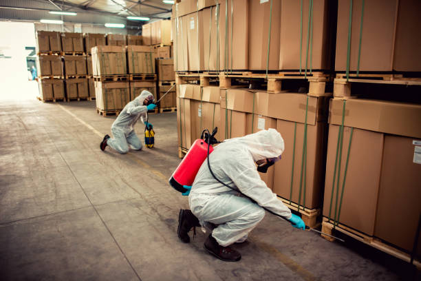 Best Best Pest Control Companies  in Noroton, CT
