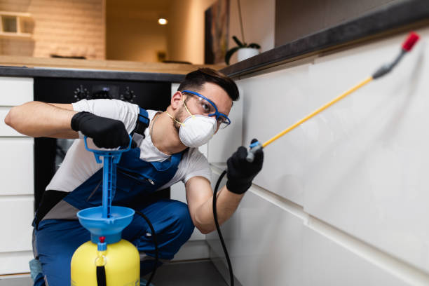 Best Residential Pest Control  in Noroton, CT