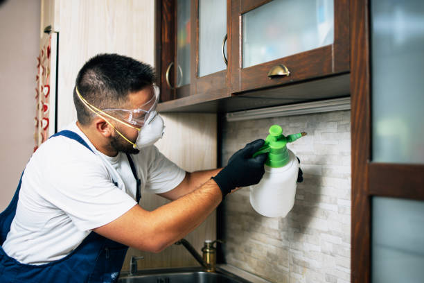 Best Local Pest Control Services  in Noroton, CT