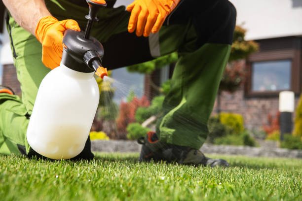 Best Commercial Pest Control Services  in Noroton, CT