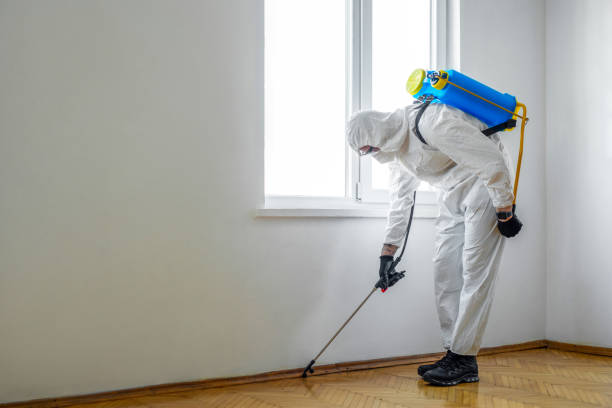 Wildlife Control Services in Noroton, CT