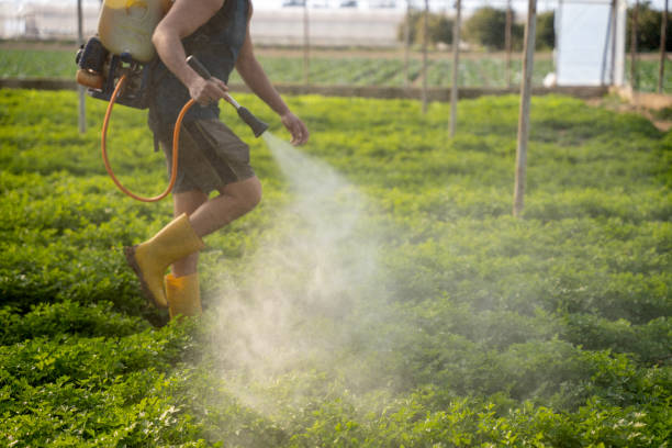 Best Affordable Pest Control Services  in Noroton, CT