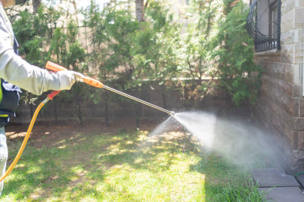 Best Pest Control for Businesses  in Noroton, CT
