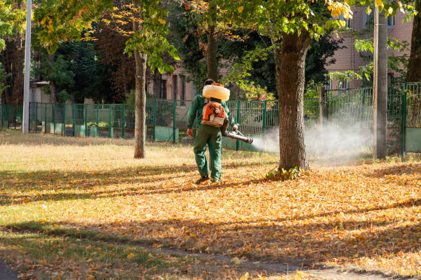Noroton, CT Pest Control Company