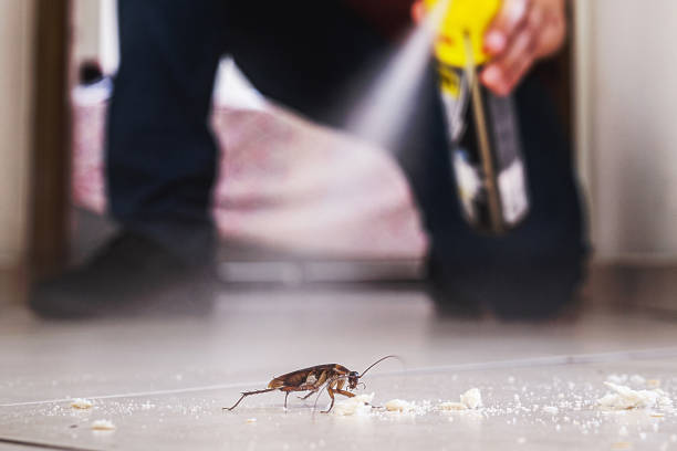 Best Residential Pest Control  in Noroton, CT
